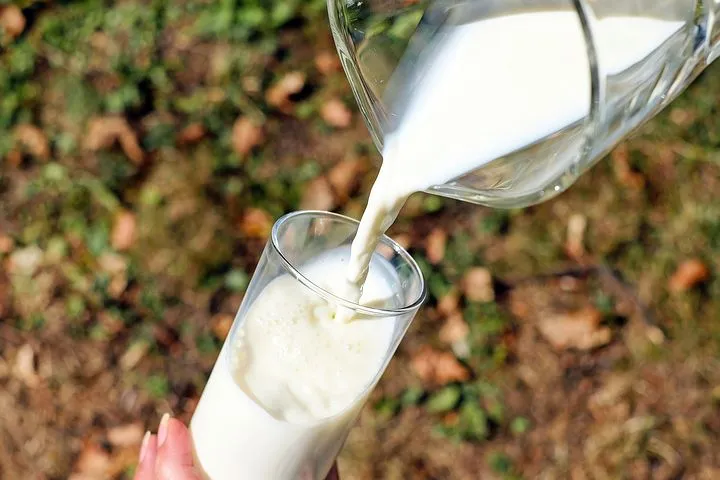 В Томской области увеличилось производство молока 