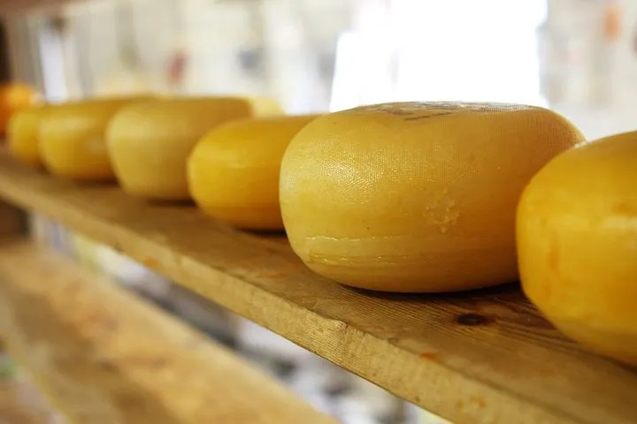 Производство сыра в Томской области за пять лет выросло в 25 раз