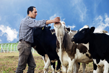 В Томской области определили лучшего оператора по искусственному осеменению коров